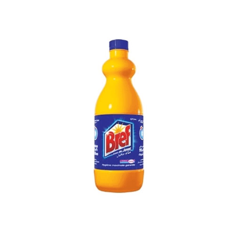 Bref javel 650ml PM