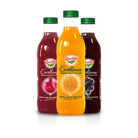 Jus Rouiba excellence Orange 25 Cl ( Pack de 12 Unités )