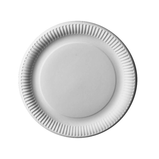 Assiette en carton 1Unité