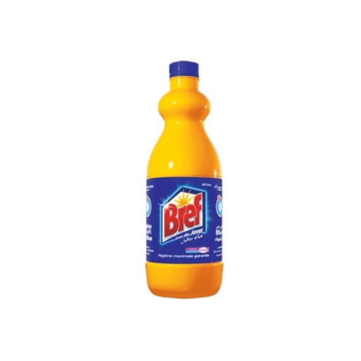 Bref javel 650ml PM